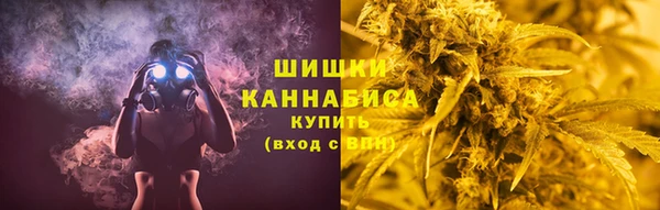 твердый Арсеньев