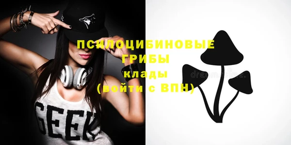 прущий лед Аркадак