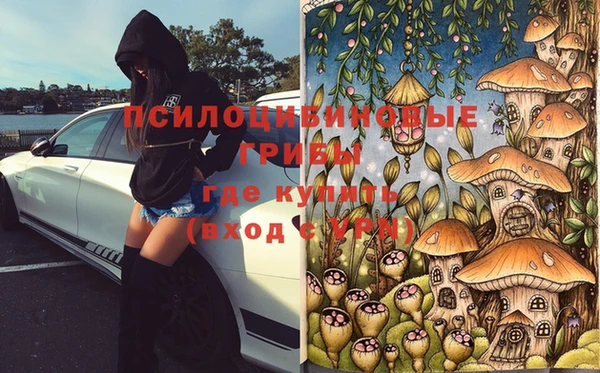 твердый Арсеньев
