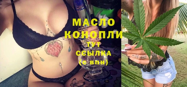 твердый Арсеньев