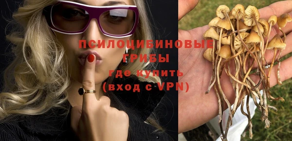 тгк Армянск