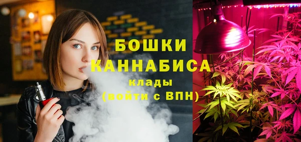 твердый Арсеньев
