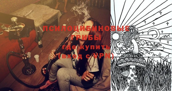 дурь Заводоуковск